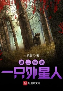 Picked up an Alien on the Road