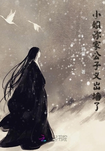 小姐你家公子又出墻了