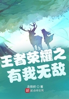 王者荣耀之有我无敌在线阅读