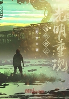 奥特曼之光明重现在线阅读