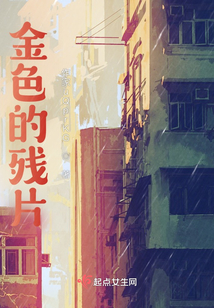 金色的殘片