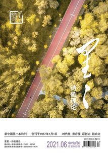 星星·詩歌理論（2021年第6期）