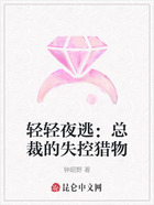 轻轻夜逃:总裁的失控猎物在线阅读