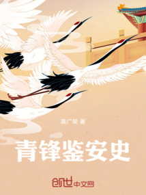 大雍察案錄