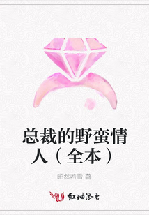 總裁的野蠻情人(全本)