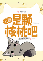 大概是顆核桃吧在線閱讀