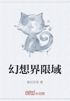 幻想界限域在线阅读