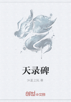 天錄碑在線閱讀
