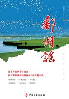 鄱湖謠在線閱讀