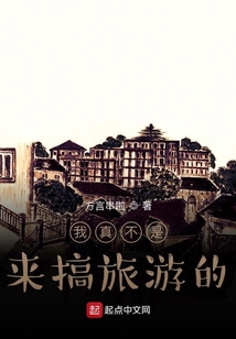 我真不是搞旅游的