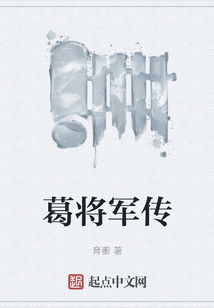 葛將軍傳