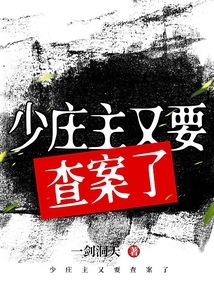 少庄主又要查案了 cover