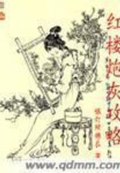 红楼炮灰攻略在线阅读