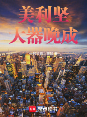 美利坚大器晚成在线阅读