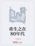 重生之在80年代在线阅读