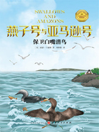 保卫白嘴潜鸟(燕子号与亚马逊号)在线阅读