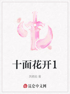 十面花开1在线阅读