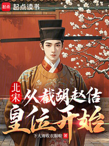北宋：从截胡赵佶皇位开始在线阅读