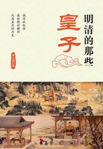 明清的那些皇子