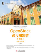 OpenStack高可用集群（下册）：部署与运维