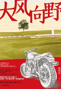大风向野