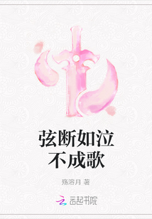 弦断如泣不成歌