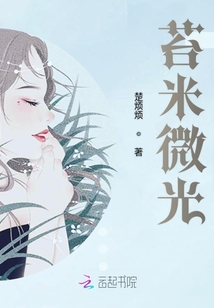 苔米微光