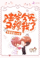 陸爺今天又撩我了在線閱讀
