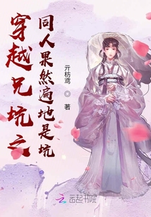 穿越兄坑之同人果然遍地是坑