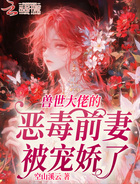 兽世大佬的恶毒前妻被宠娇了在线阅读