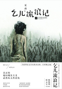 乞兒流浪記