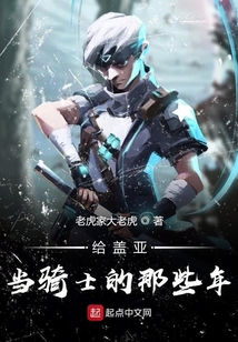 給蓋亞當(dāng)騎士的那些年
