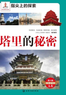 塔里的秘密