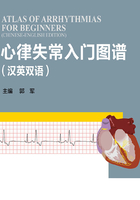 心律失常入门图谱（汉英双语）