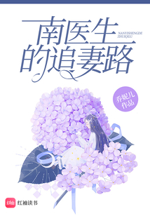 南醫(yī)生的追妻路