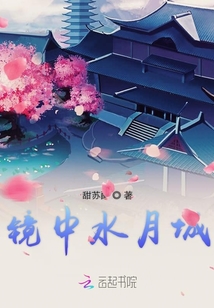 镜中水月城