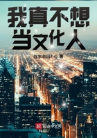 我真不想当文化人在线阅读