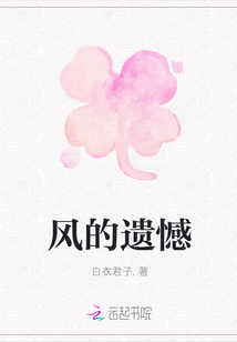 风的遗憾