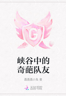 峽谷中的奇葩隊友