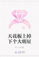 天花板上掉下個大明星在線閱讀