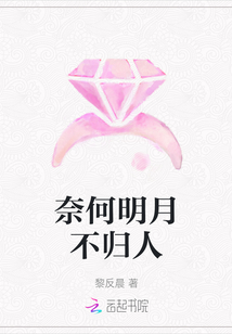 奈何明月不歸人