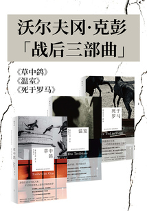 沃爾夫?qū)た伺?“戰(zhàn)后三部曲”(套裝共3冊(cè))