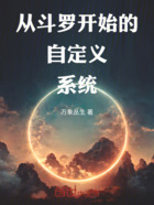 从斗罗开始的自定义系统