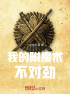 我的附魔术不对劲!在线阅读
