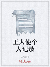 王大使個人記錄