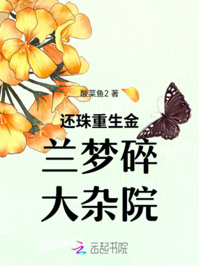 还珠重生金兰梦碎大杂院在线阅读