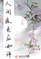 人間夜色應如許在線閱讀