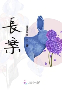長案