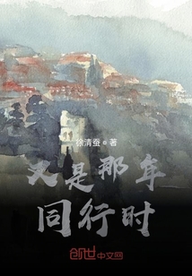 又是那年同行時