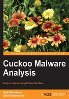 Cuckoo Malware Analysis在线阅读